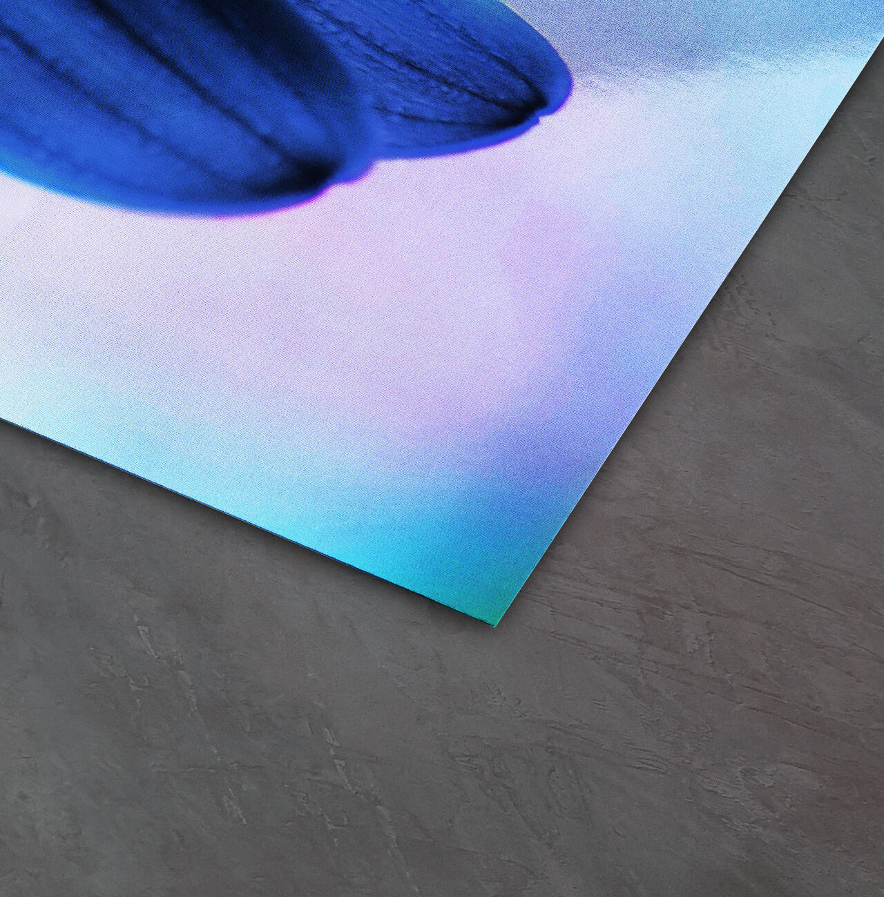 Impresión colorida de un pétalo en papel de alta calidad