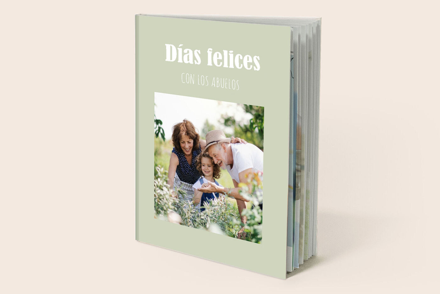 Empieza a crear tu álbum de fotos directamente.