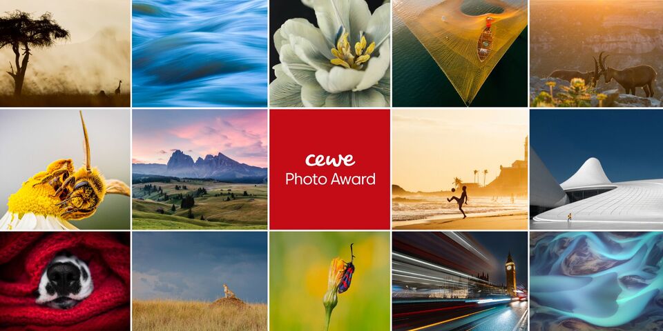Galería del CEWE Photo Award con quince fotografías de naturaleza, paisajes y vida cotidiana en tonos vibrantes.