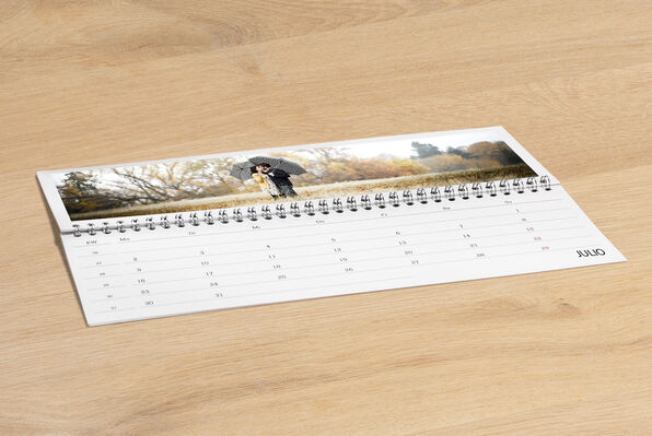 calendario personalizado con fotos de escritorio tumbado