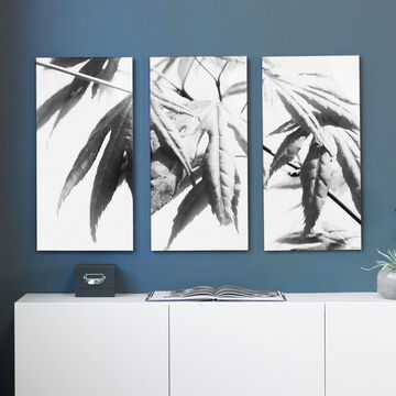 Tres modernas imágenes en blanco y negro con hojas, enmarcadas en pared azul.