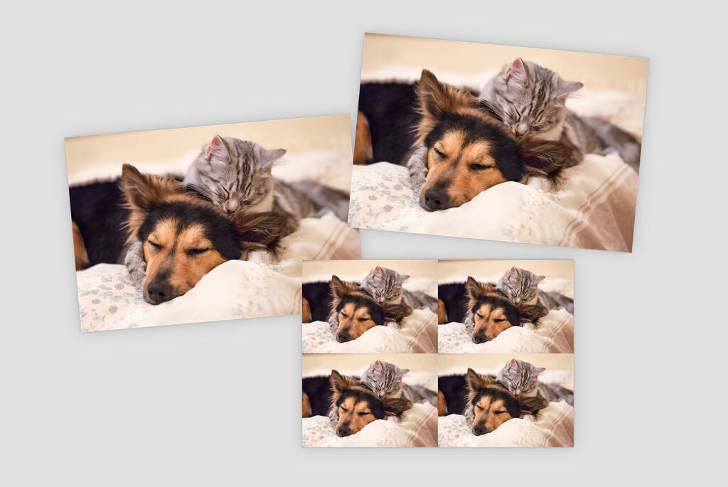 Set de fotos clásico varios tamaños