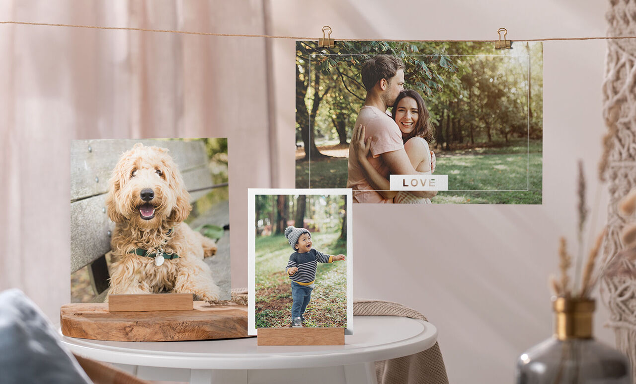 Tres impresiones fotográficas cariñosas en un espacio acogedor. Un perro querido, un niño feliz y una pareja disfrutando al aire libre.