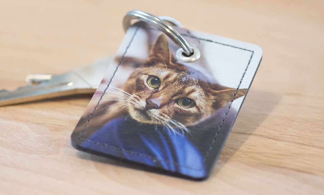 Un llavero con imagen de un gato en primer plano